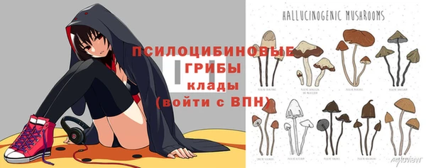 стаф Горно-Алтайск
