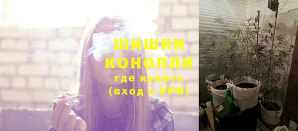 гидра Горнозаводск