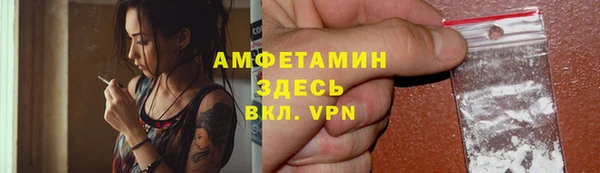 гидра Горнозаводск