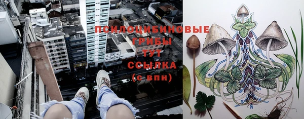 прущая мука Гусев