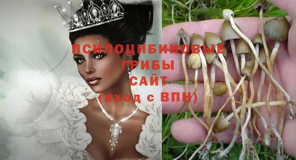 a pvp Горняк
