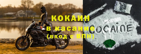 PSILOCYBIN Гусиноозёрск