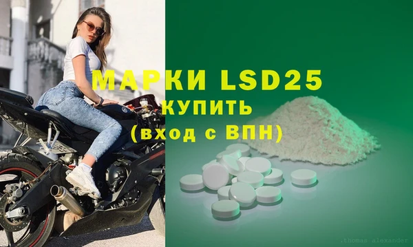 гидра Горнозаводск