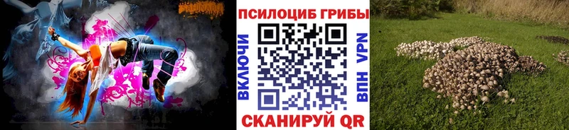 Галлюциногенные грибы GOLDEN TEACHER  хочу наркоту  Киселёвск 