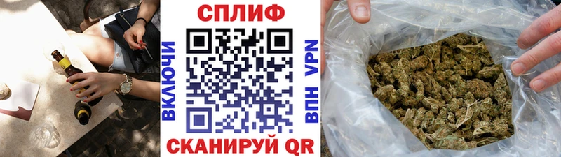 Каннабис конопля Киселёвск